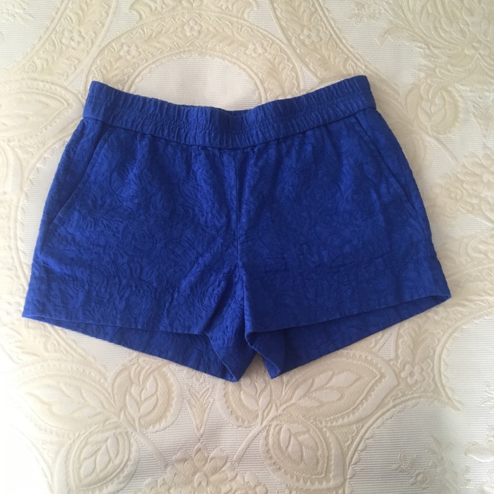 J Crew Blue Shorts